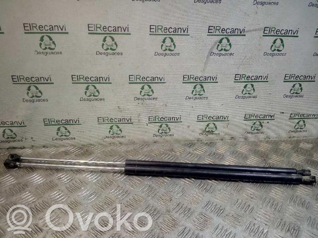 Citroen Berlingo Ammortizzatore portellone posteriore/bagagliaio 