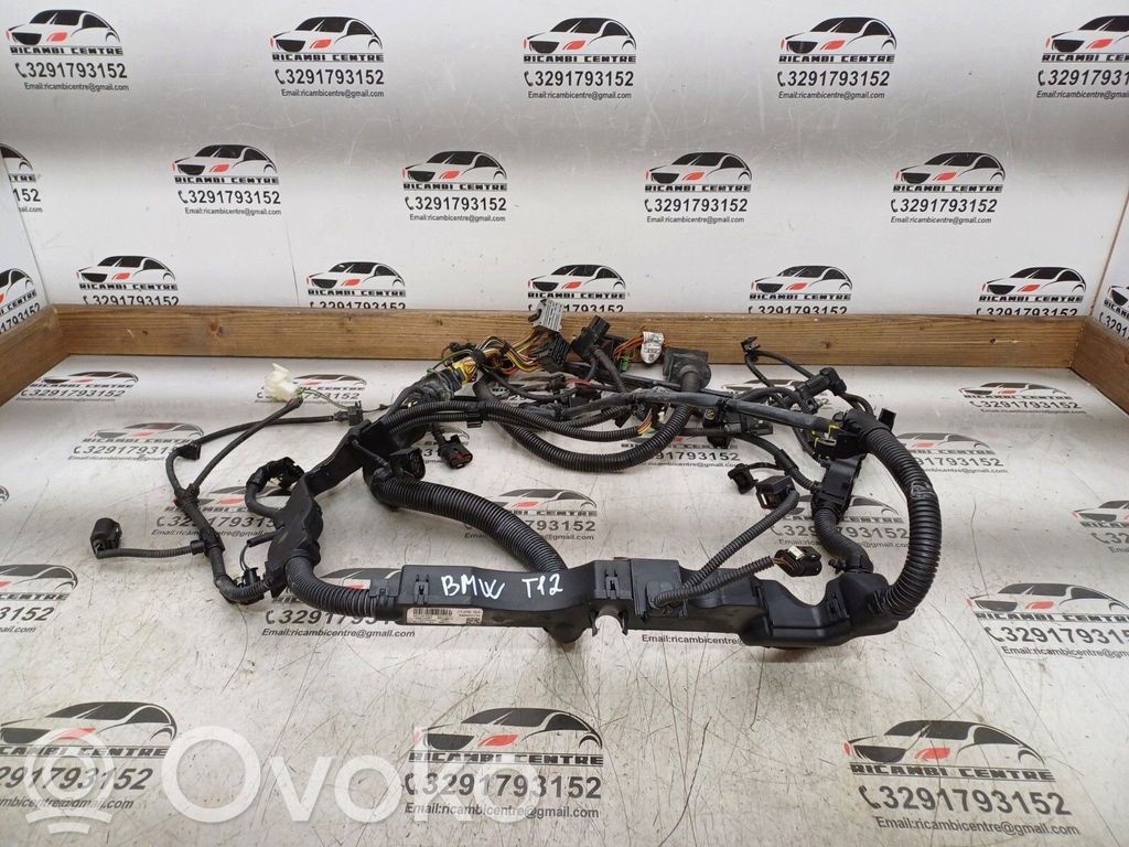 BMW X6 E71 Engine installation wiring loom 
