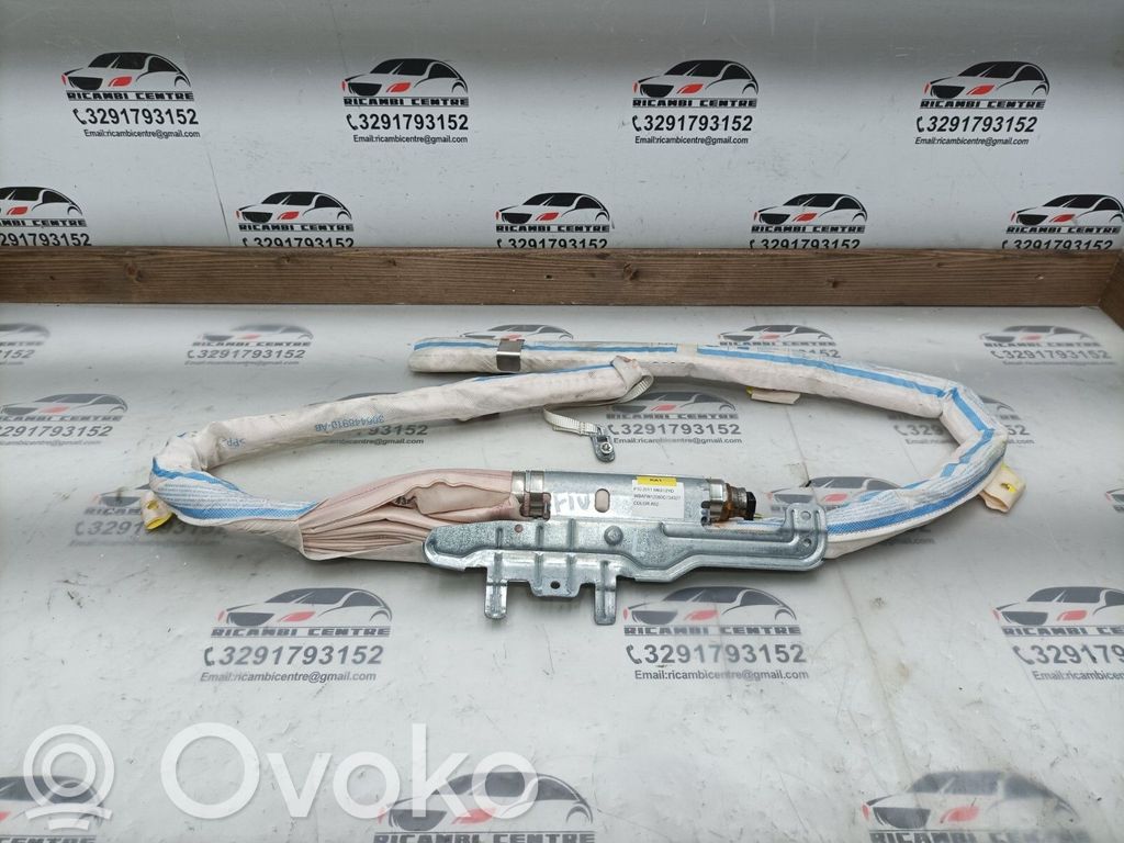 Airbag del techo   306448910,306448910AB