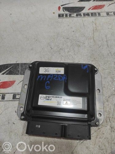 Engine control unit/module ECU   R2BG18881C,2757000202,K4238