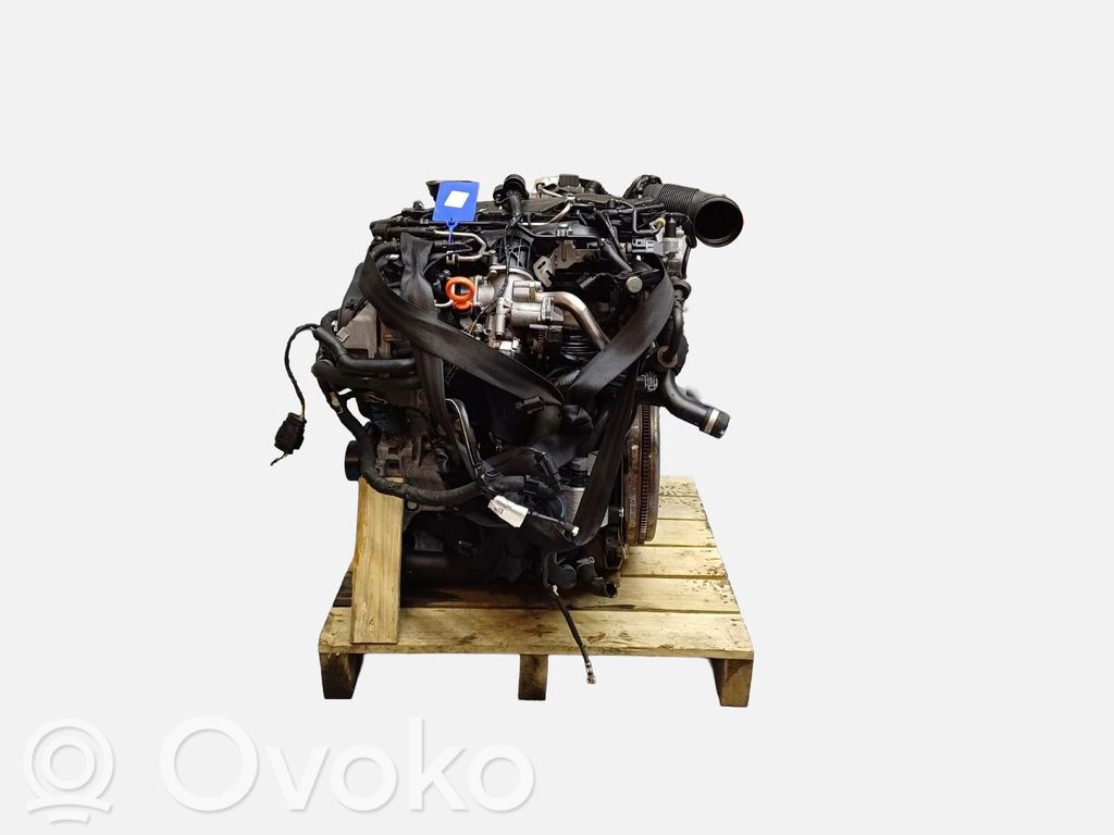 Seat Leon (1P) Engine 