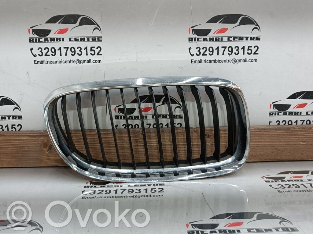 Priekšējais režģis   51137201968,51137120008,7120008,7201968