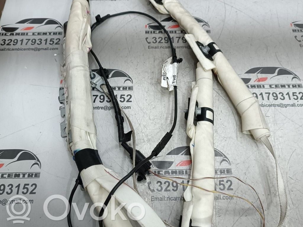 Ford Focus Airbag del techo 