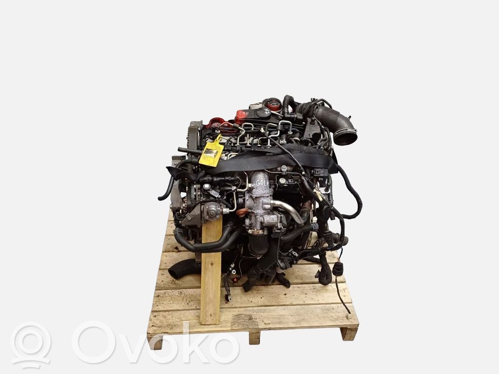 Engine   CBD,03L100033S,03L100033SX,03L100103DX,03L103265X,03L103351J,03L130755,03L130755R,03L130851X,110CV,CBD,CBDC