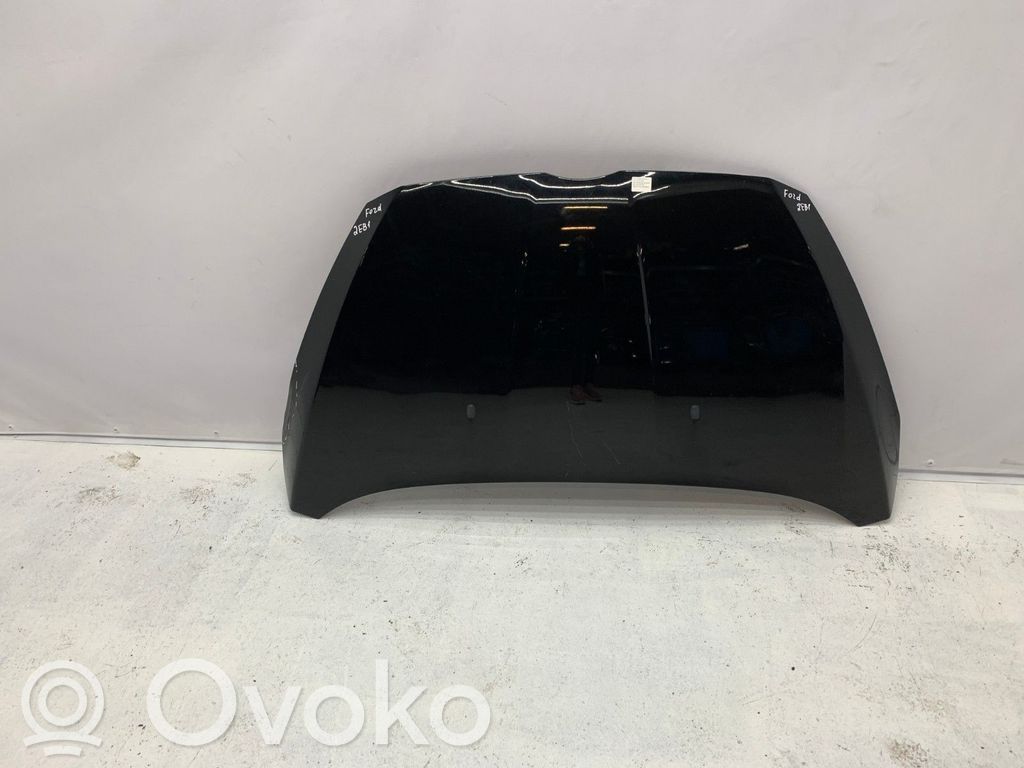 Dzinēja pārsegs (vāks)   2100964,PAV11R16610AC