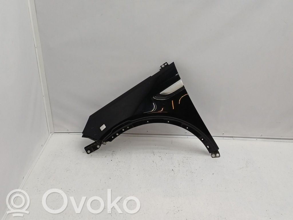 Błotnik przedni   FK7216016AB,LR061384