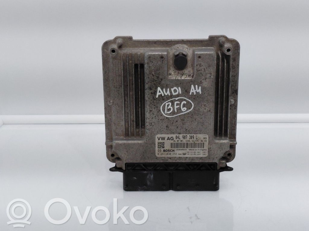 Komputer / Sterownik ECU silnika   04L907309L,0281030258,04L906026T,04L906026T8WA,1039S85876,110KW,150CV