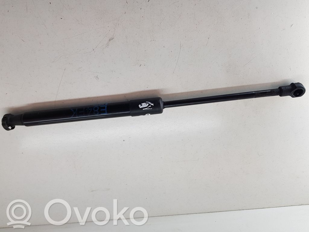 BMW X1 E84 Dzinēja pārsega amortizators 