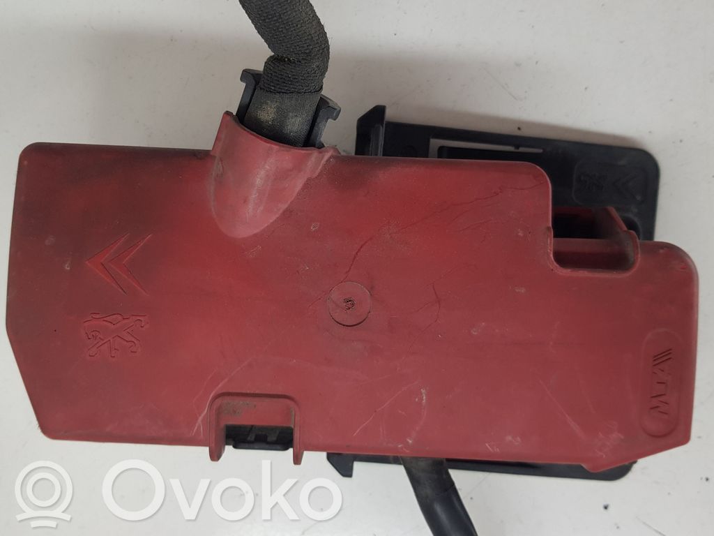 Citroen C5 Positive wiring loom 