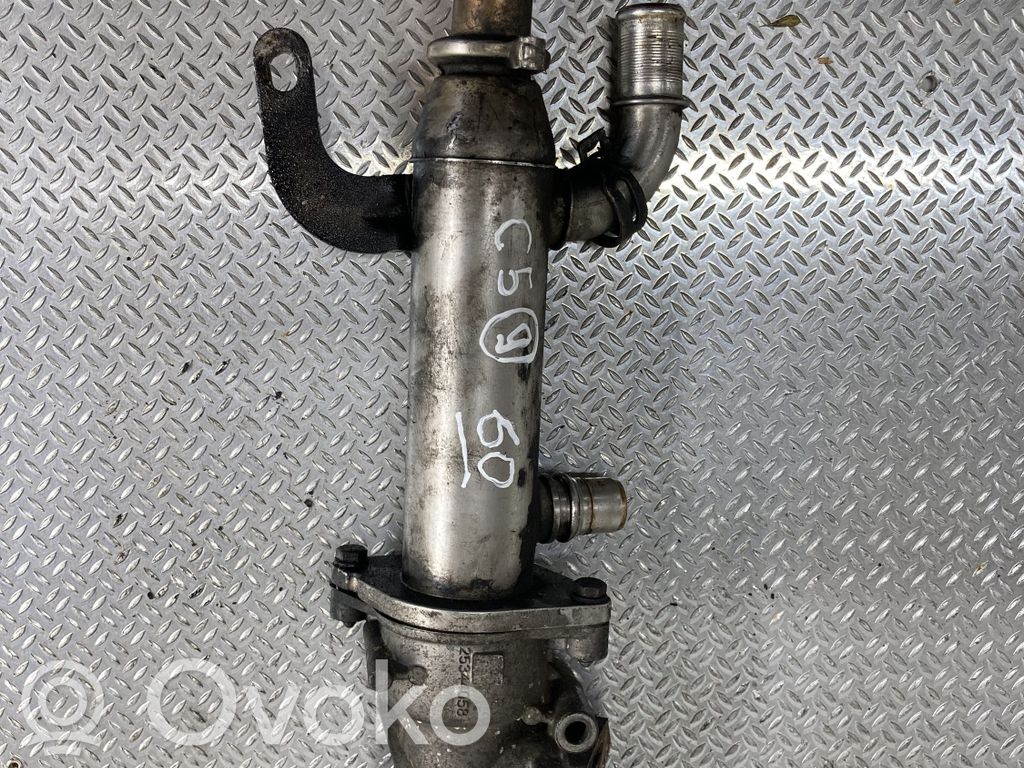Citroen C5 EGR dzesētājs 