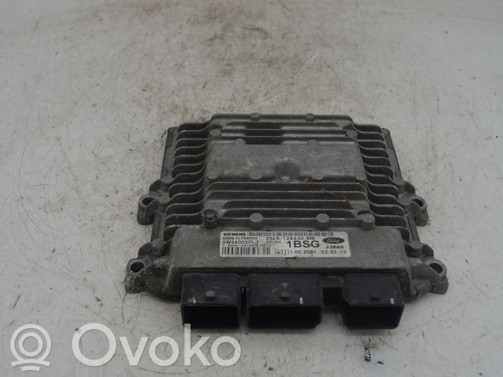 Ford Fiesta Engine control unit/module 
