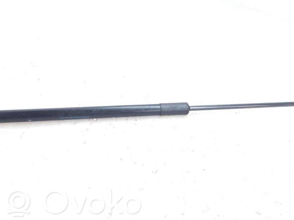 Volkswagen Touareg II Amortizor capotă motor 