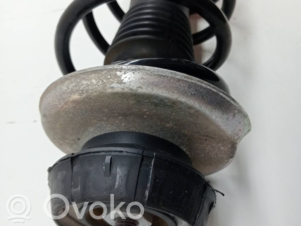 Front shock absorber/damper   543029110R