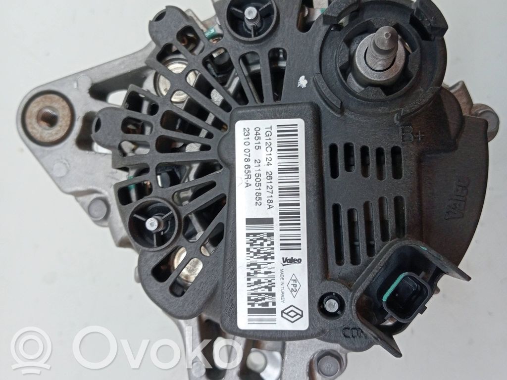 Lichtmaschine   231007865R