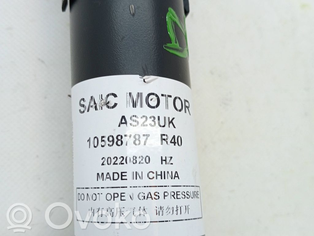Rear shock absorber/damper   10598787