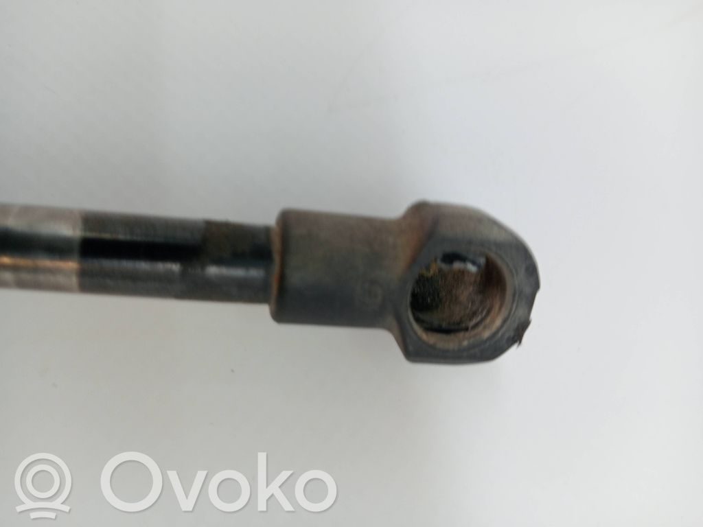 Tailgate/trunk/boot lid buffer   51243400379