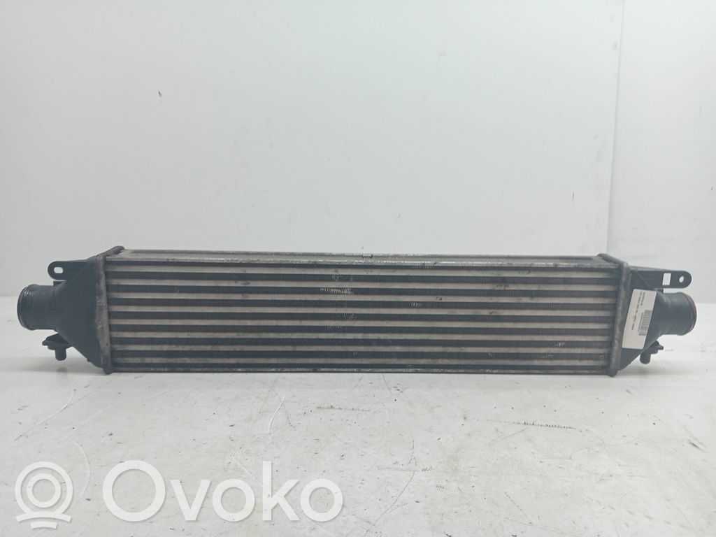 Interkūlerio radiatorius   52018046