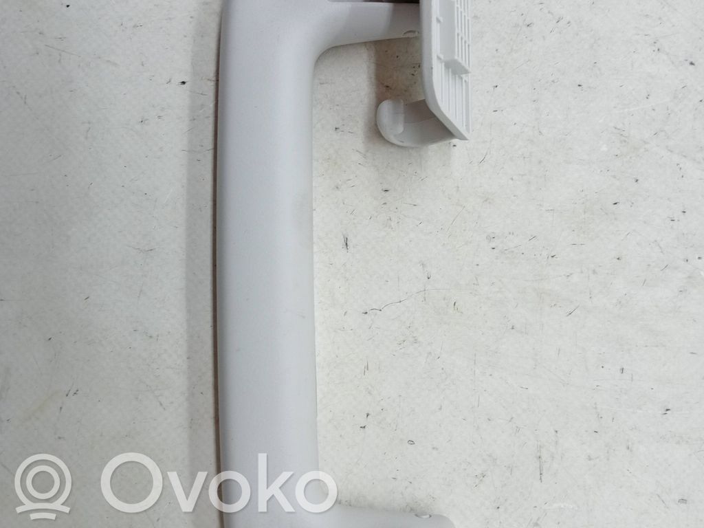 Ford Focus Handrail (top trim) 