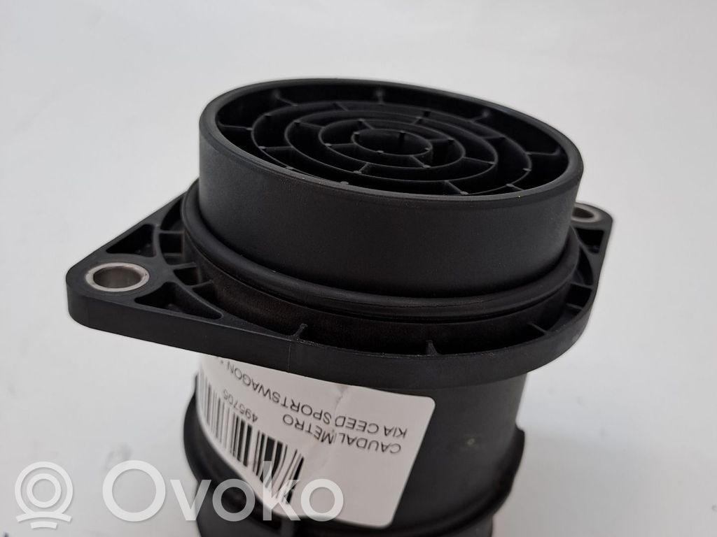 Oro srauto matuoklis   281642J600