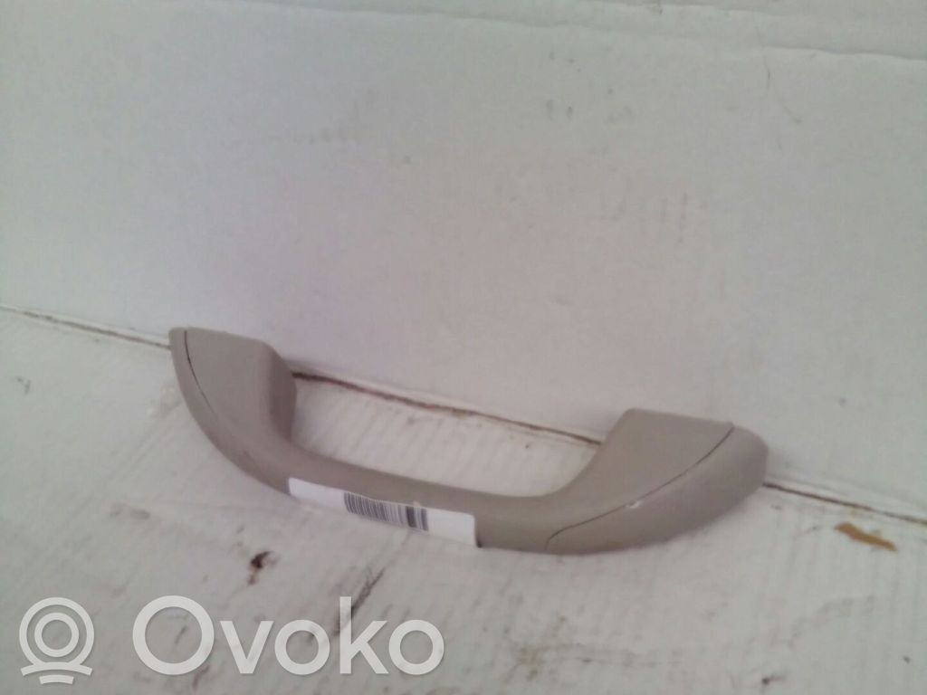 Dacia Lodgy Handlauf Dachhimmel 