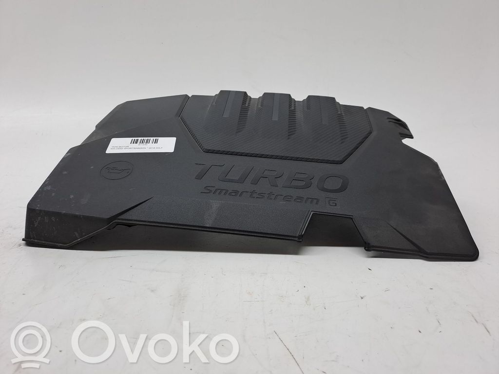 Motorabdeckung   2924007611