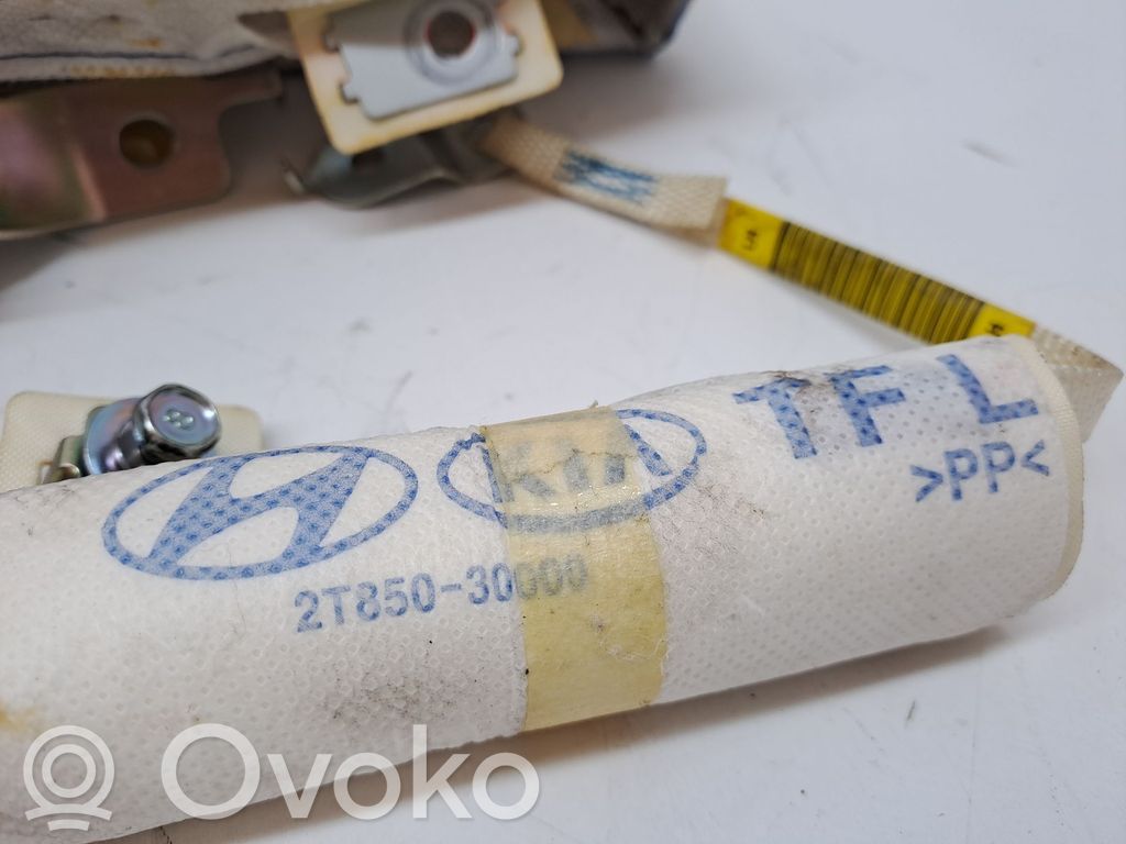 Airbag del techo   850102T000