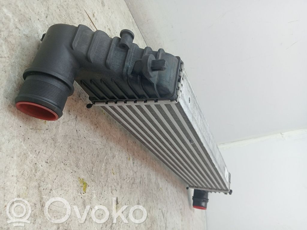 Fiat Tipo Radiator intercooler 