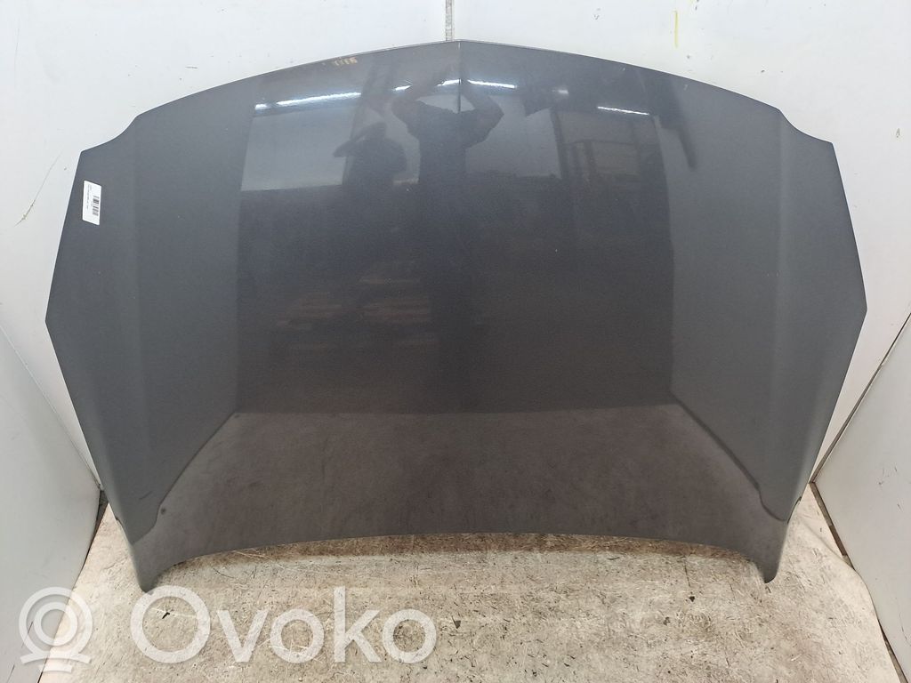 Capó/tapa del motor   13276949