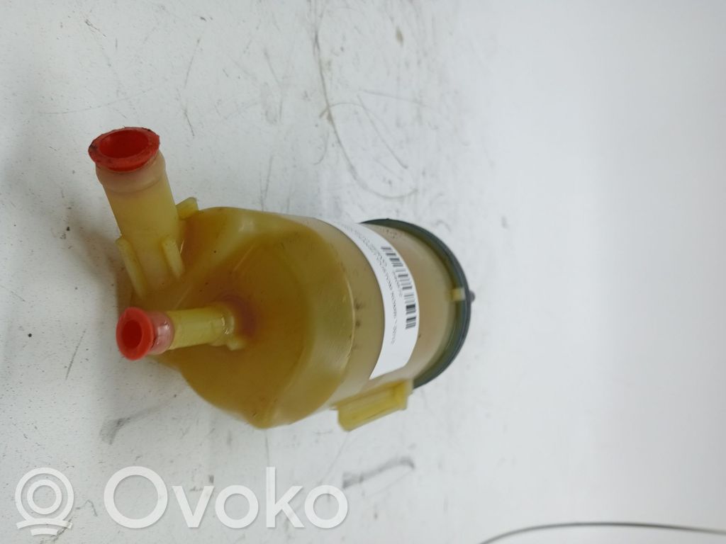 Ford Transit Serbatoio/vaschetta del liquido del servosterzo 