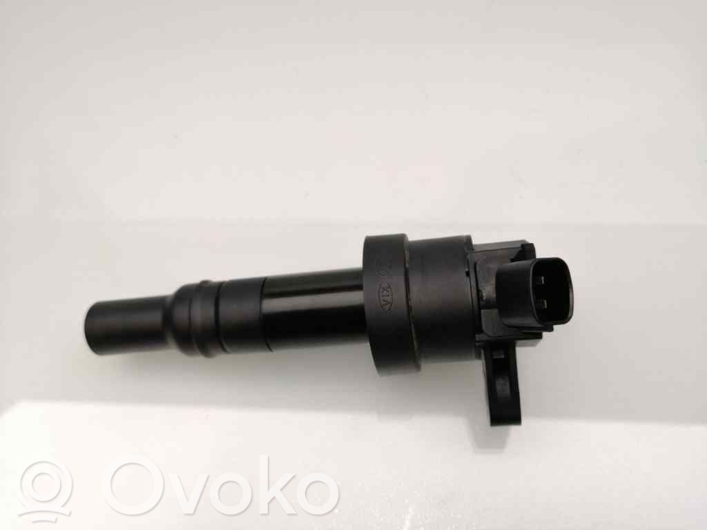 High voltage ignition coil   2730104000