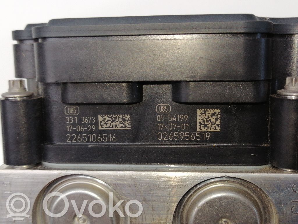 ABS bloks   6000625582,52065547,2265106516