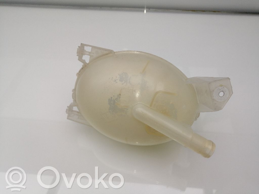 Aušinimo skysčio išsiplėtimo bakelis   217107259R
