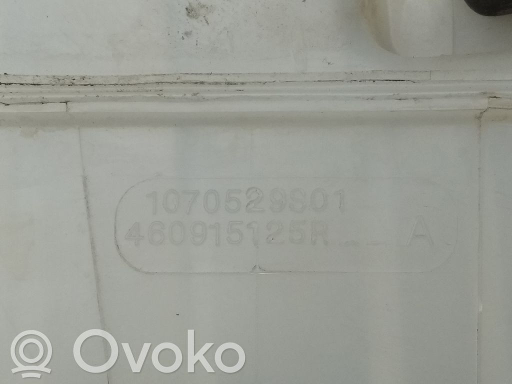 Jarrutehostin   460915125RA,1070529S01