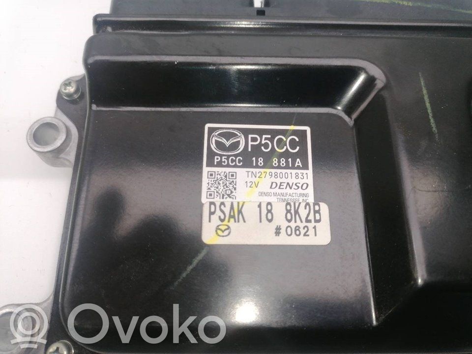Engine control unit/module ECU   P5CC18881A,PSAK188K2B