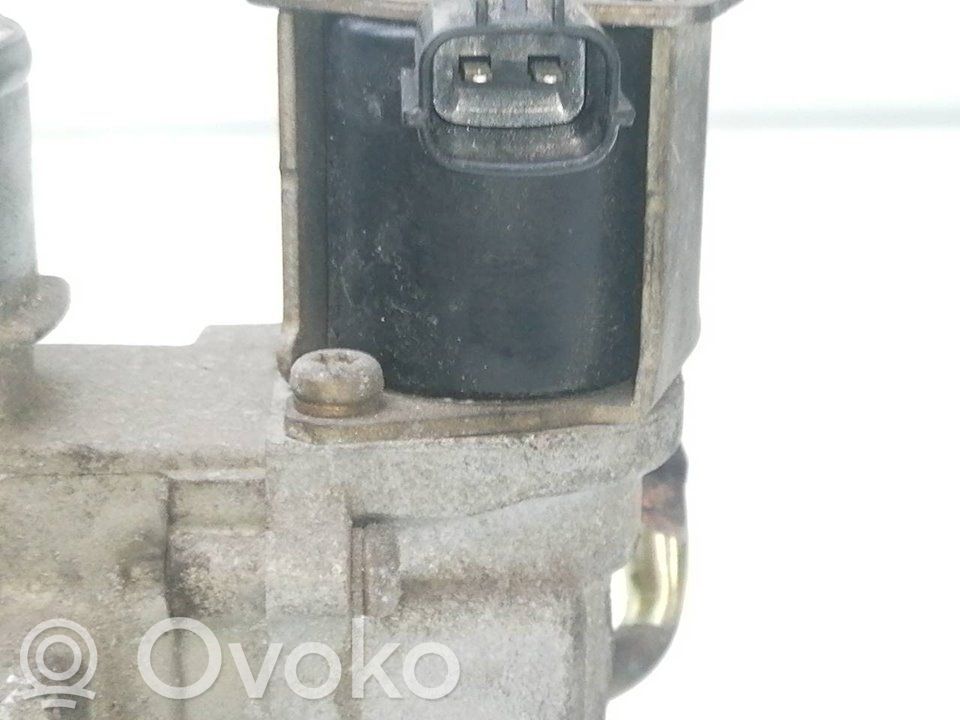 Drosele   E9T06871