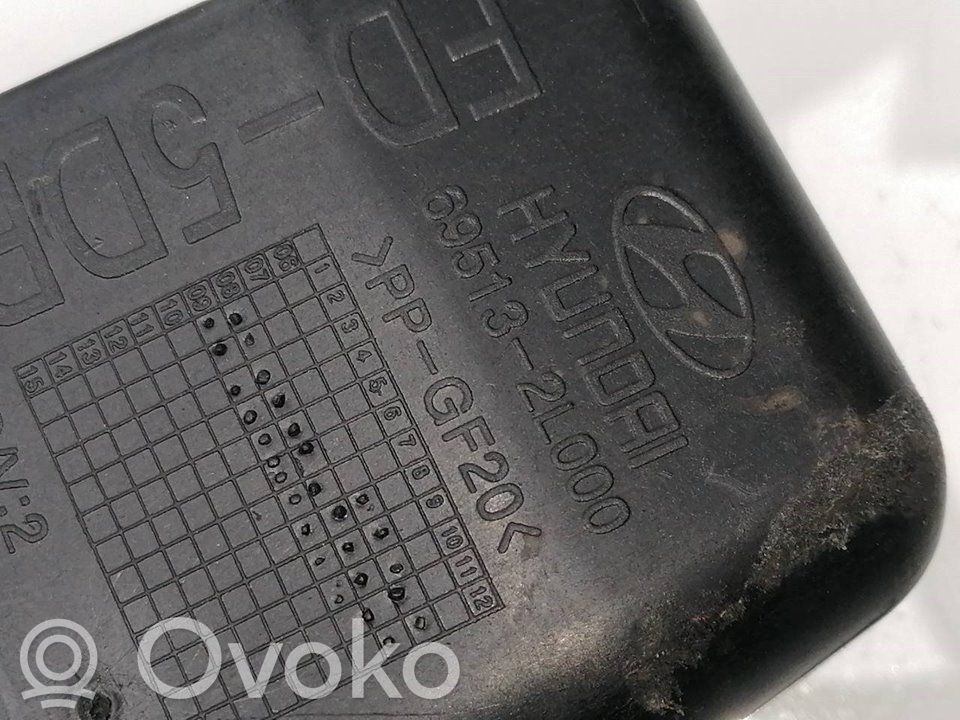 Polttoainesäiliön korkki   695132L000