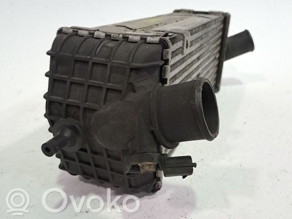 Radiador intercooler   282702A850