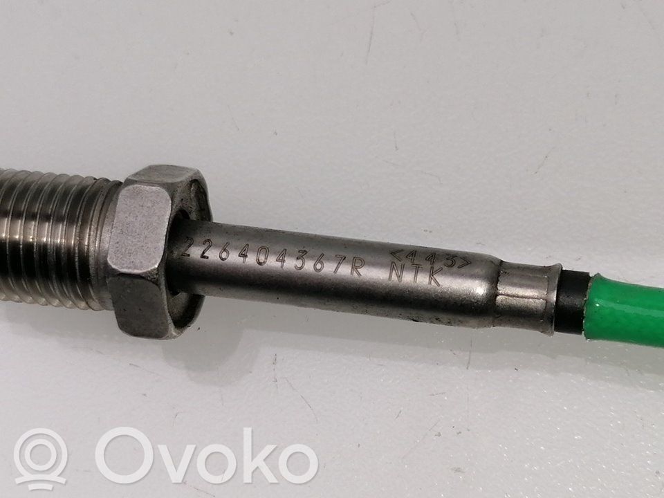 Anturi   226404367R