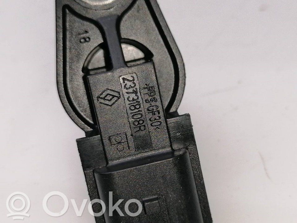 Kitas daviklis   237318108R
