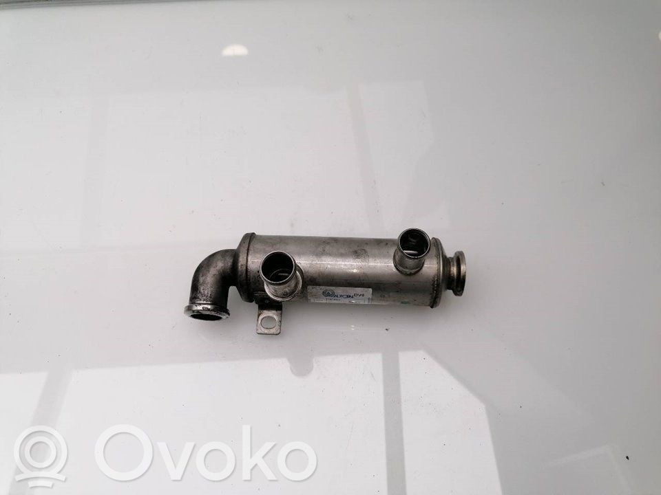 Refroidisseur de vanne EGR   161863