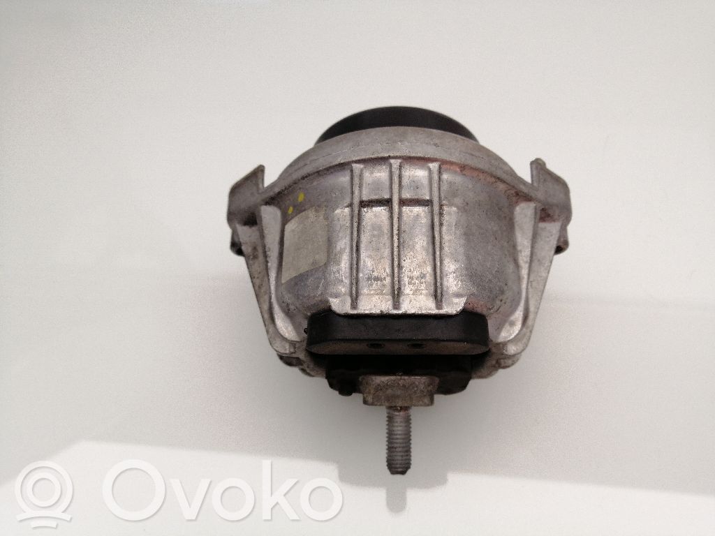 Variklio pagalvė   13981112