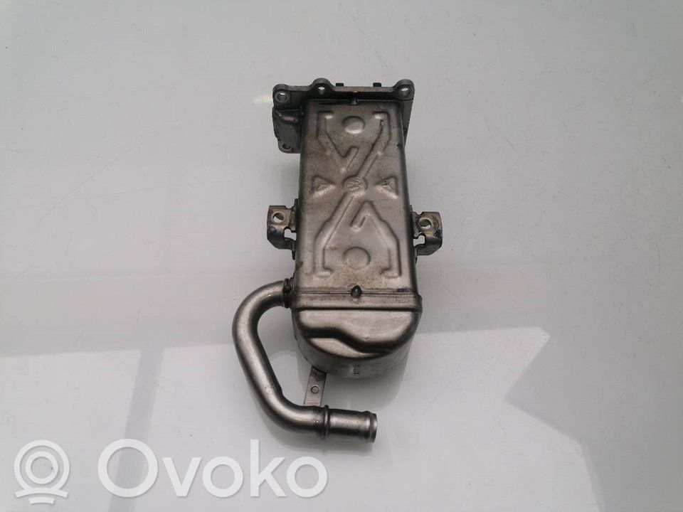 Seat Ibiza II (6k) Valvola di raffreddamento EGR