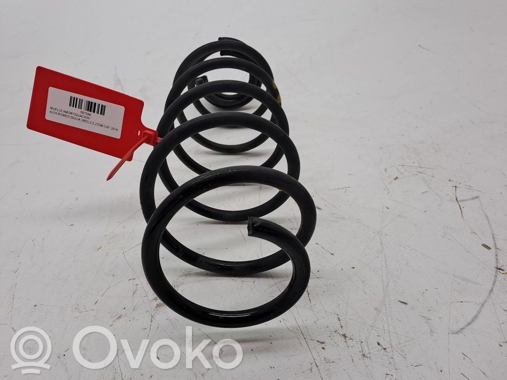 Feder vorne   50520149