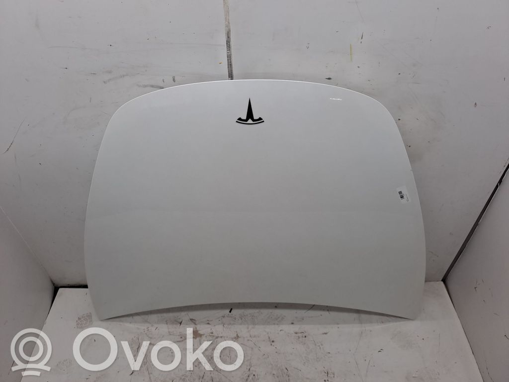Dzinēja pārsegs (vāks)   1081390E0C