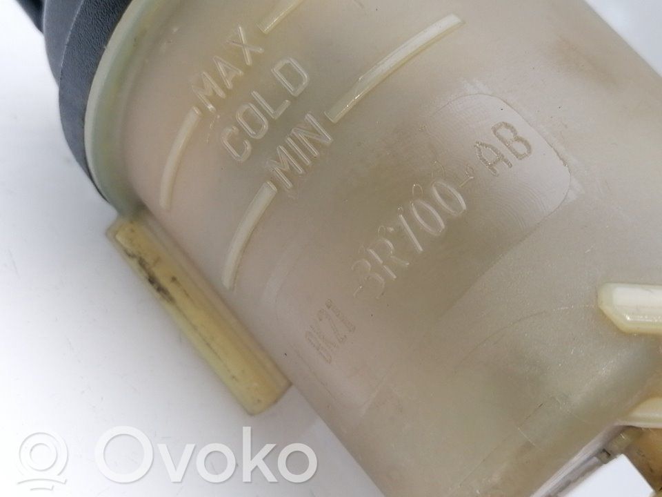 Vairo stiprintuvo skysčio bakelis   BK213R700AB