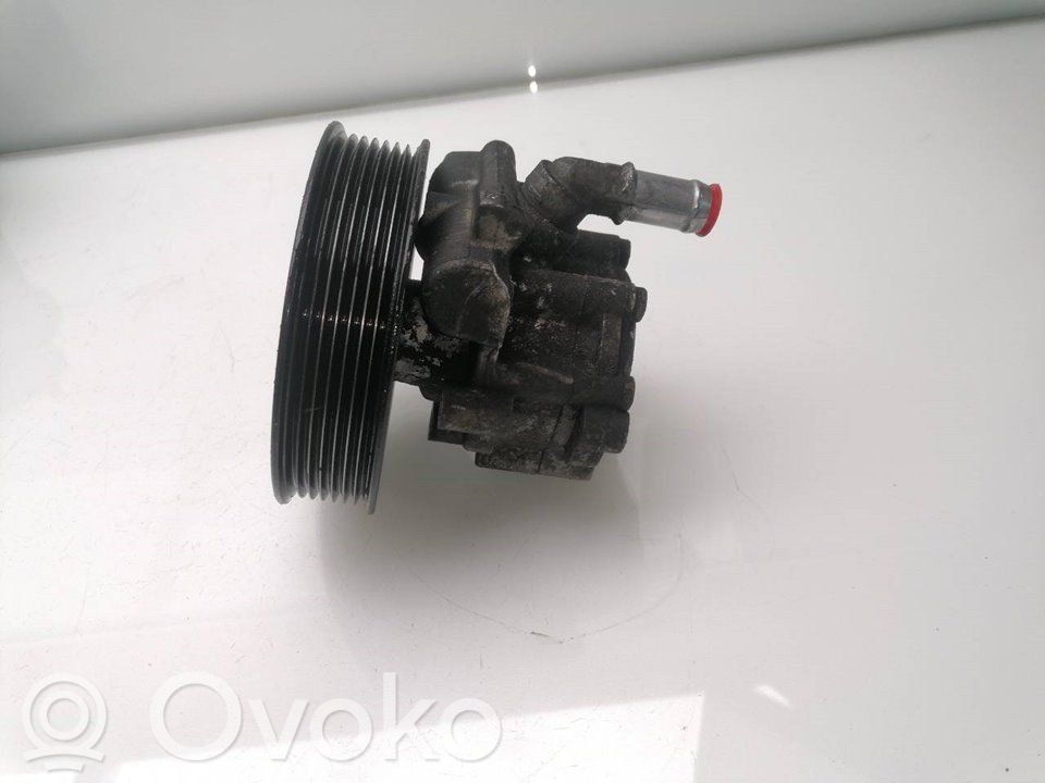 Pompa servosterzo   491101050R