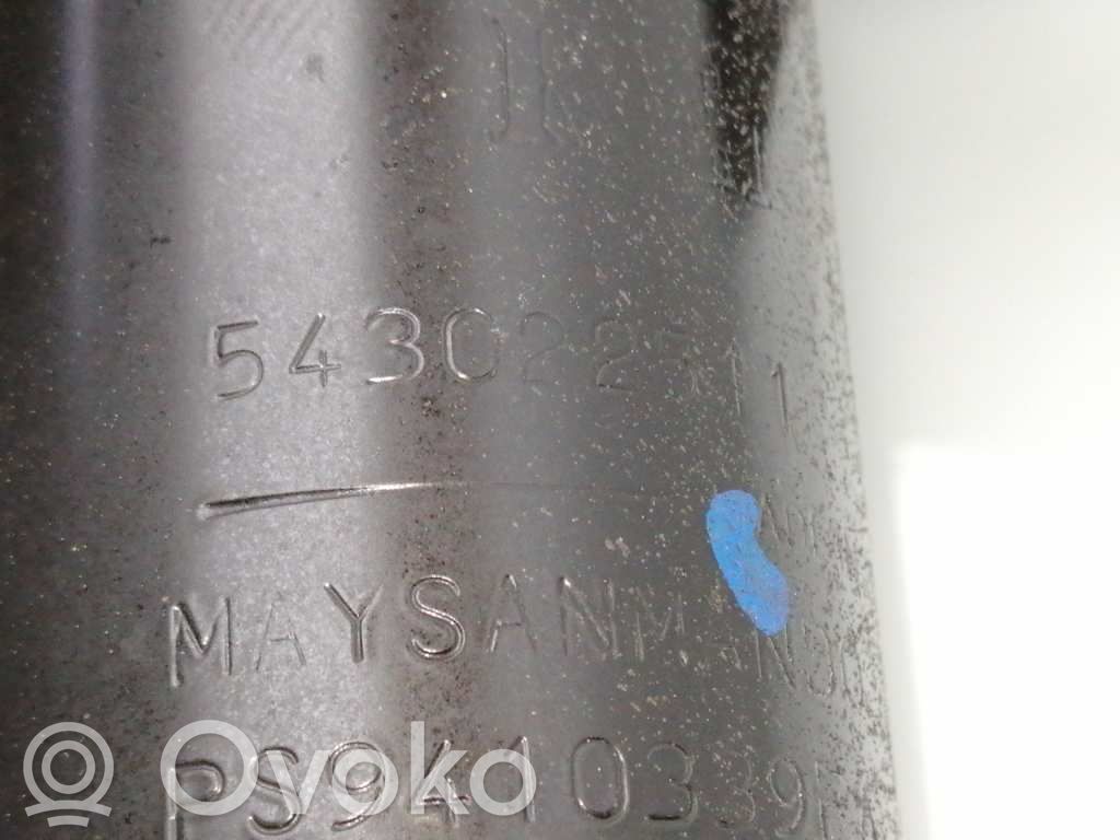 Stoßdämpfer vorne   543022511R
