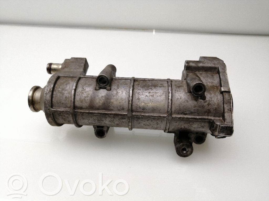 Iveco Daily 45 - 49.10 Răcitor supapă EGR 