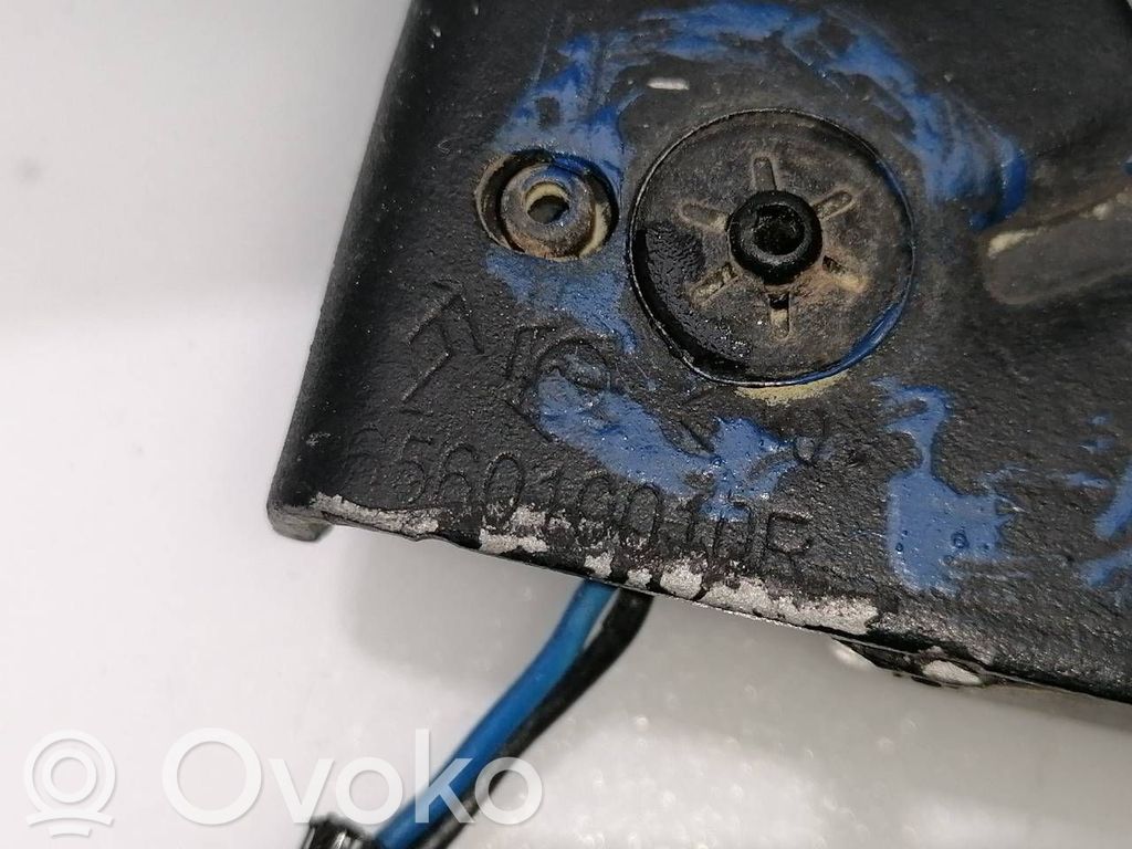 Tie down hook / loop   656010010R