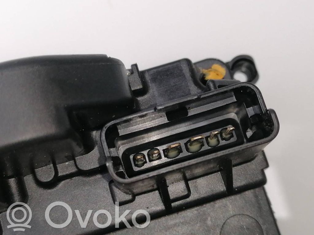 Front door lock   805020009R